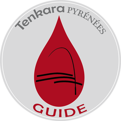 Logo réseau de guides de pêche au Tenkara